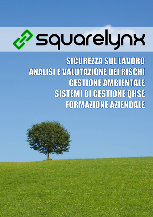 Squarelynx Presentation Brochure